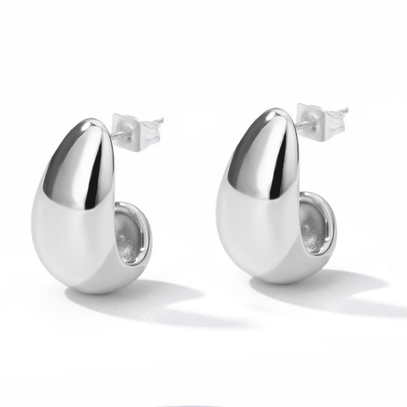 Stainless Steel Hook Minimalist Earrings For Women