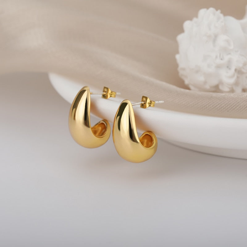 Stainless Steel Hook Minimalist Earrings For Women