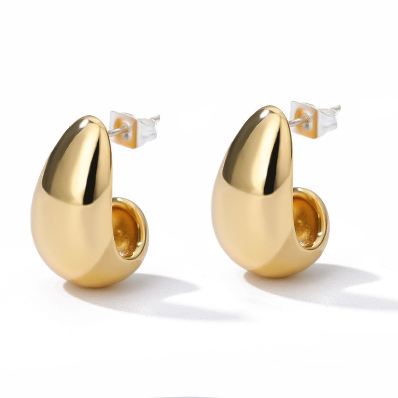 Stainless Steel Hook Minimalist Earrings For Women