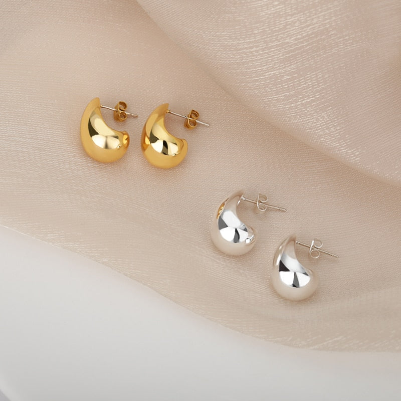 Stainless Steel Hook Minimalist Earrings For Women