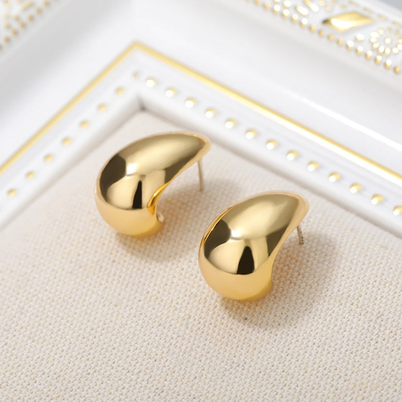 Stainless Steel Hook Minimalist Earrings For Women