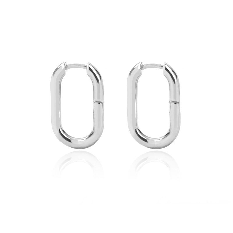 Stainless Steel Hook Minimalist Earrings For Women