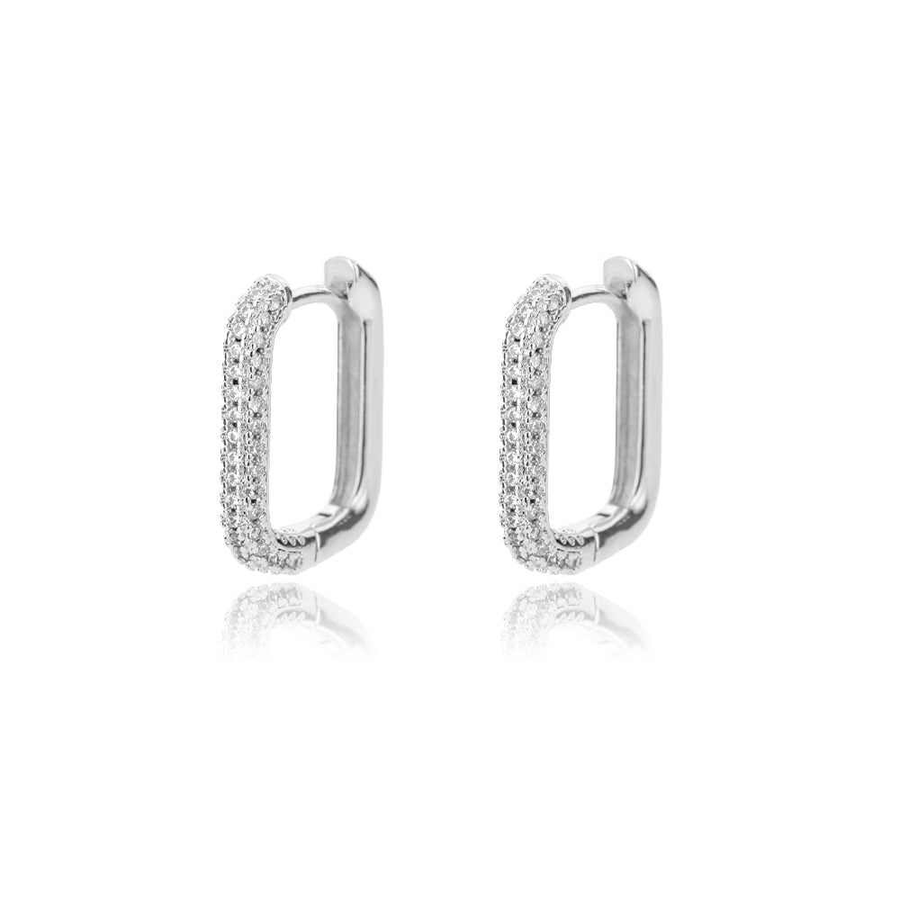 Stainless Steel Hook Minimalist Earrings For Women