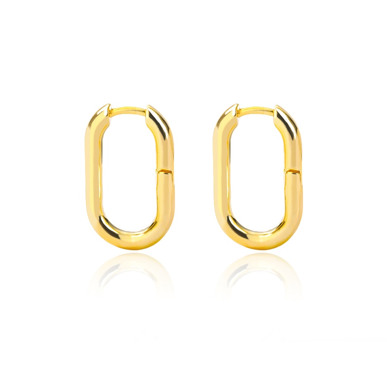 Stainless Steel Hook Minimalist Earrings For Women