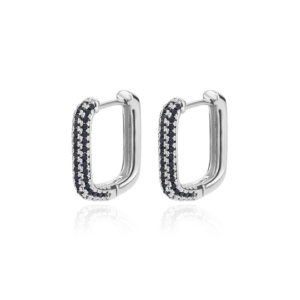 Stainless Steel Hook Minimalist Earrings For Women