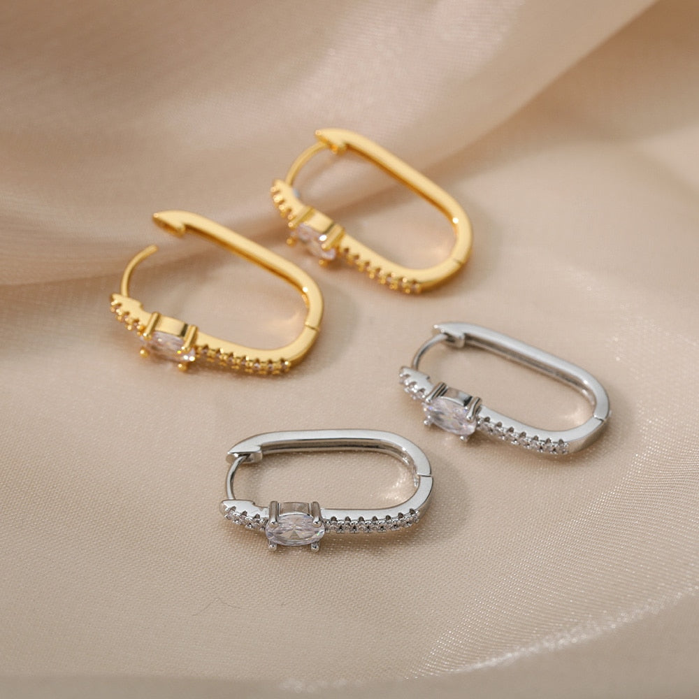 Aesthetic Stainless Steel Hoop Earrings