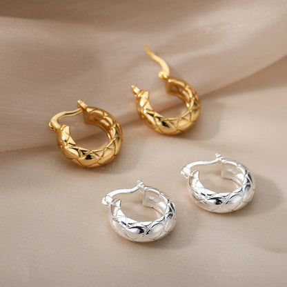 Aesthetic Stainless Steel Hoop Earrings