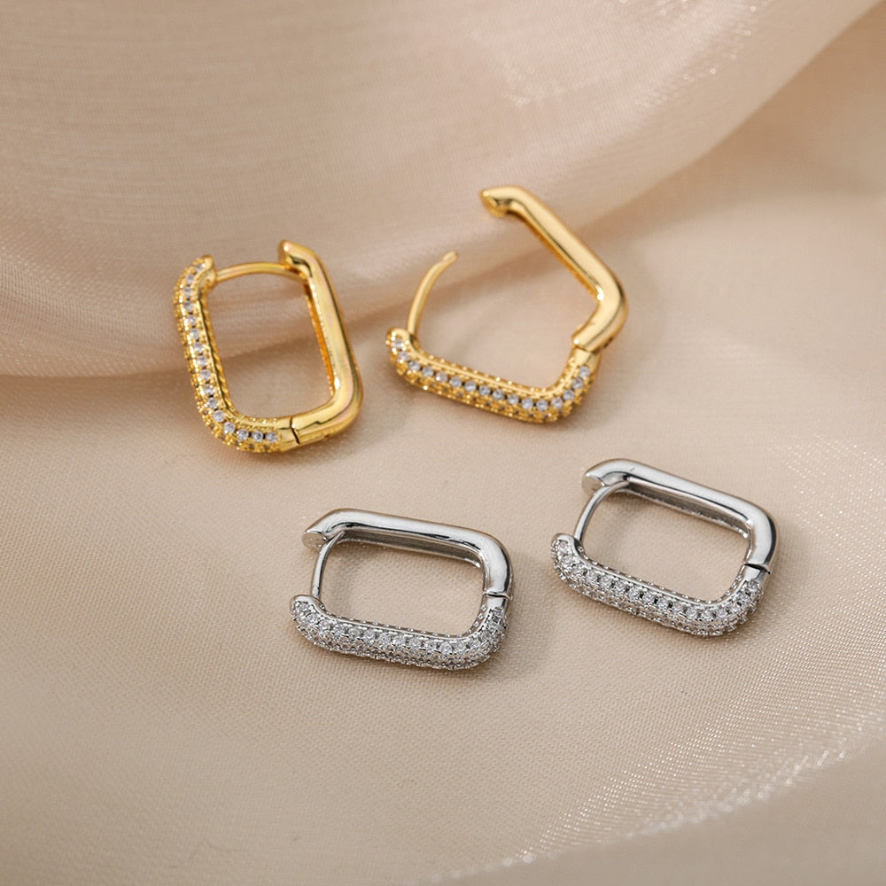 Aesthetic Stainless Steel Hoop Earrings