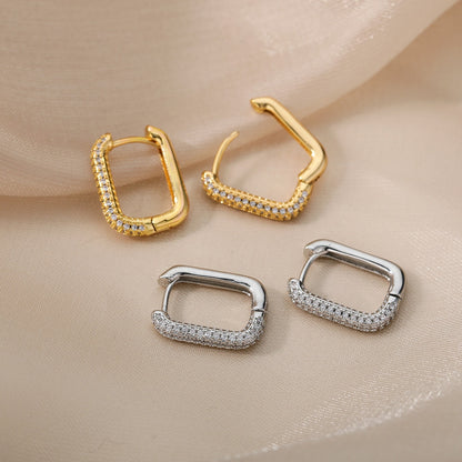 Aesthetic Stainless Steel Hoop Earrings